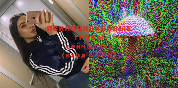 круглые Бронницы