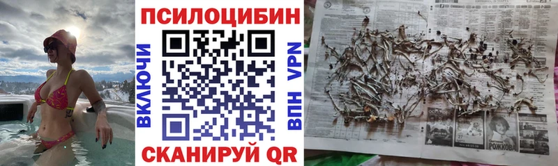 Псилоцибиновые грибы GOLDEN TEACHER Сосногорск